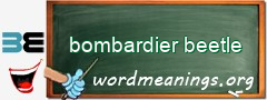 WordMeaning blackboard for bombardier beetle